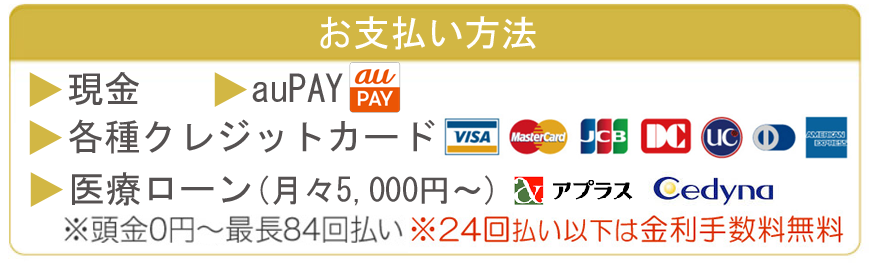 お支払方法（aupay）